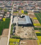 �ӱ��ɰ��أ���ҵ����Υ��ռ��  ���ȱλ����غ�è�壿